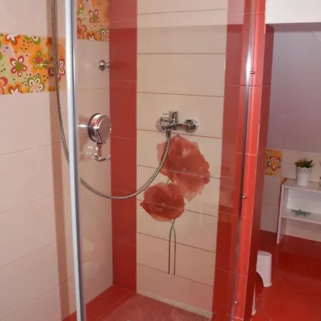 Guest house Janine Garden Brasov