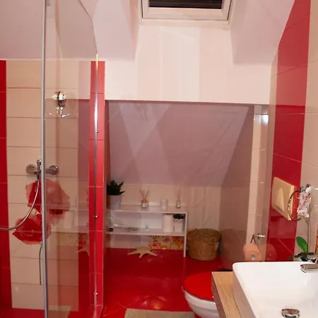 Guest house Janine Garden Brasov