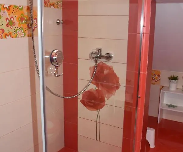 Guest house Janine Garden Brasov