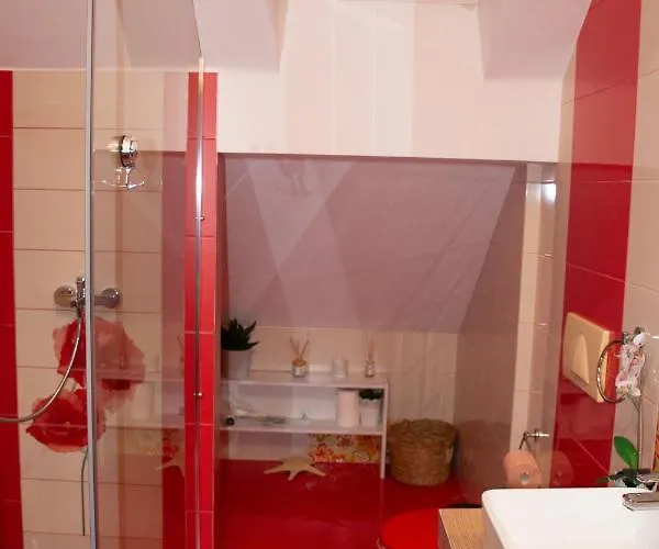 Guest house Janine Garden Brasov