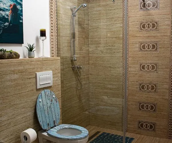 Guest house Janine Garden Brasov